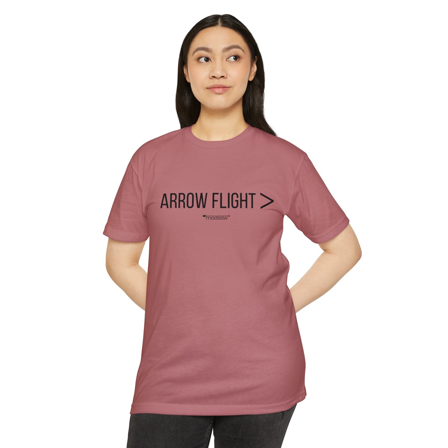 Arrow Flight > Unisex T-shirt