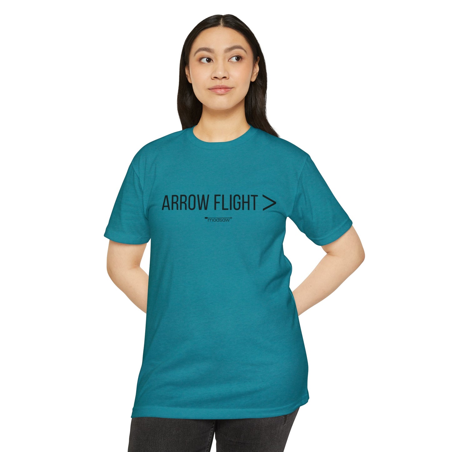 Arrow Flight > Unisex T-shirt